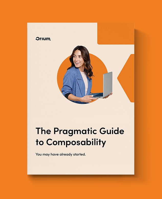 Secondary Resource: The Pragmatic Guide - Cover Image
