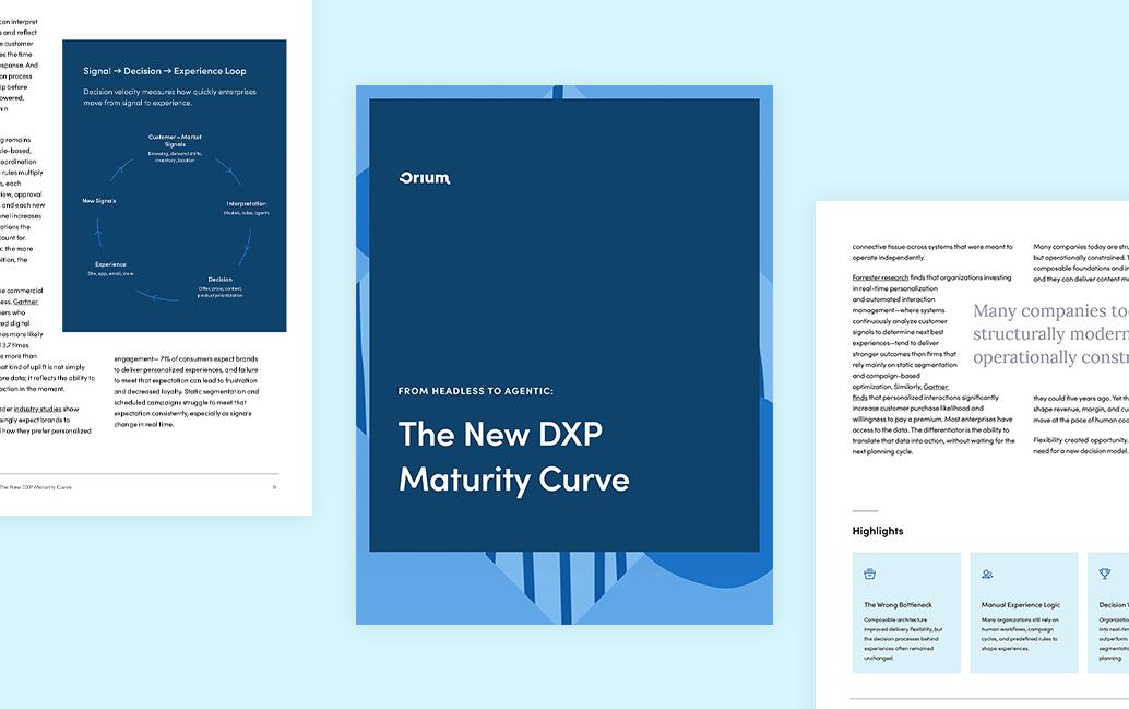 A collage of the pages of the DXP Maturity report.